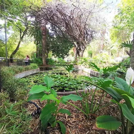 Home2book Cruz Skyline Cozy 아파트